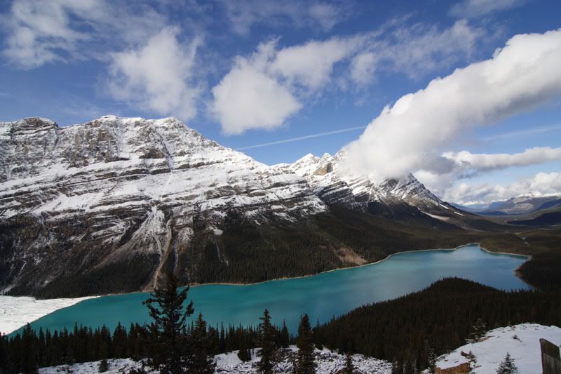 IMAGE: http://i240.photobucket.com/albums/ff101/aximrocks/IMG_0893.jpg