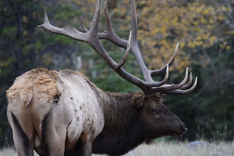 IMAGE: http://i240.photobucket.com/albums/ff101/aximrocks/IMG_2815.jpg