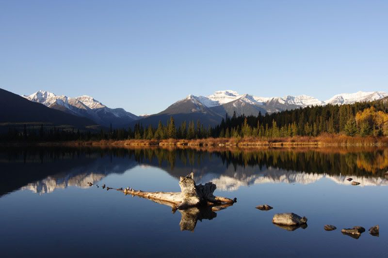 IMAGE: http://i240.photobucket.com/albums/ff101/aximrocks/IMG_4600.jpg