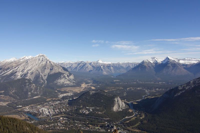 IMAGE: http://i240.photobucket.com/albums/ff101/aximrocks/IMG_4851.jpg