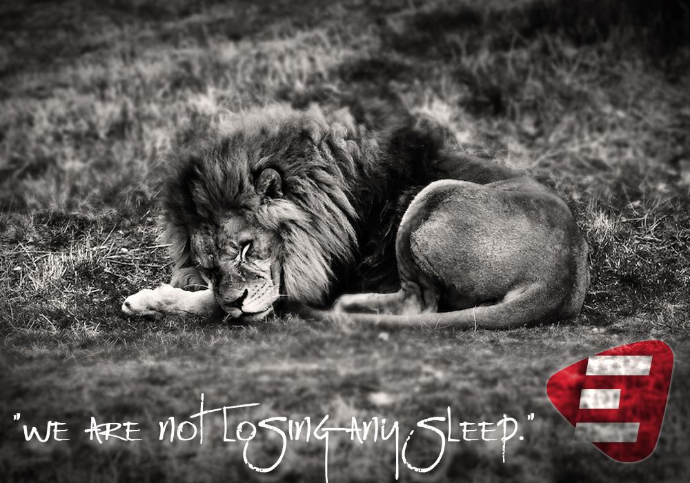  photo Sleeping-lion-black-and-white_ea.jpg