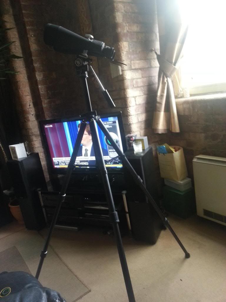 20130320_143928.jpg