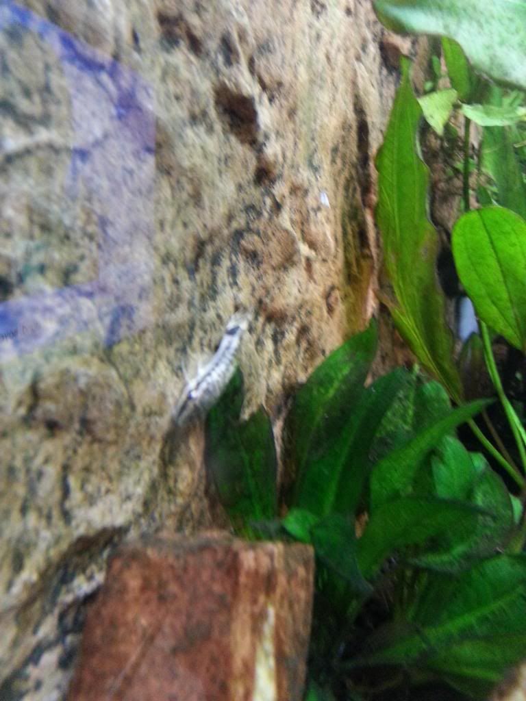 20140207_124855.jpg