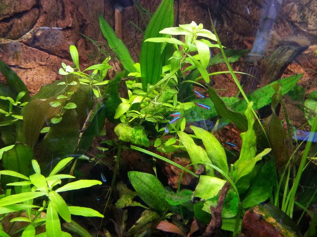 20140207_125024.jpg