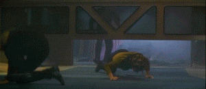 dd7f37f6f199.gif