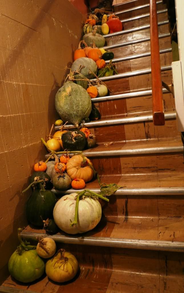 2010 Squash Harvest