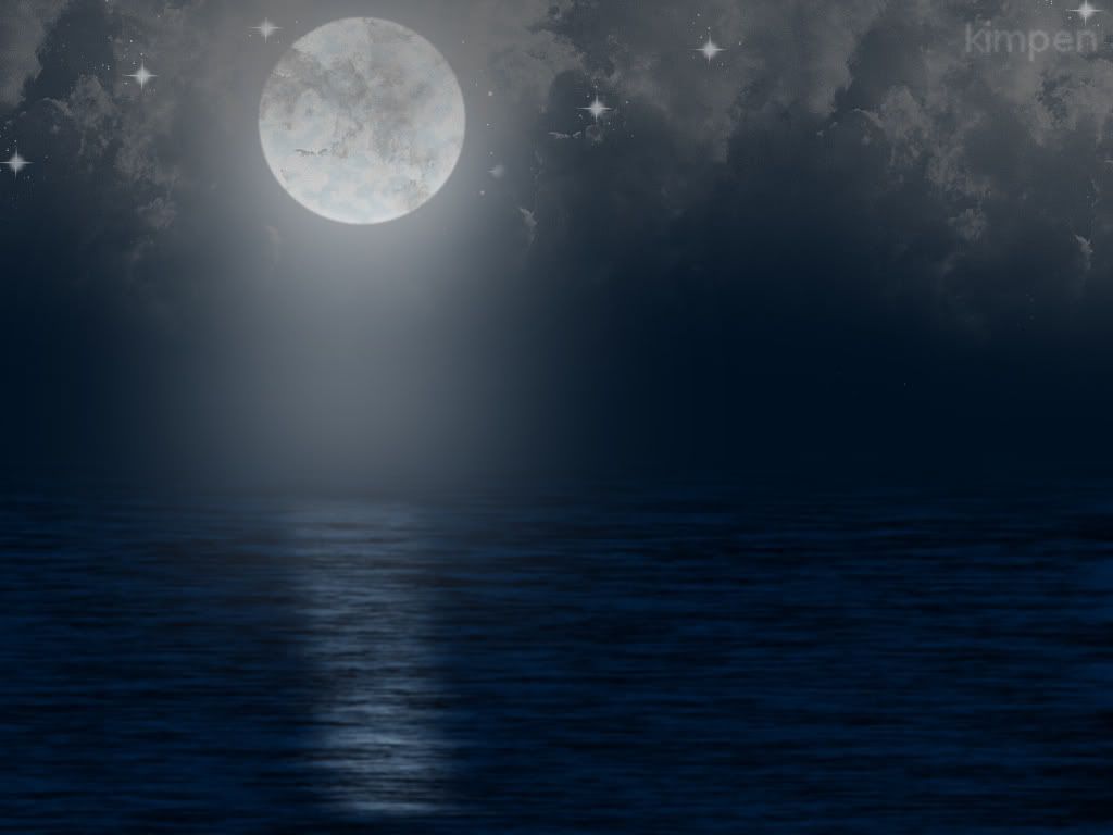 moon light in the water