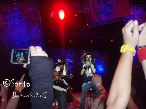 f_P9030134m_543cb1a.jpg picture by Ewellyn9