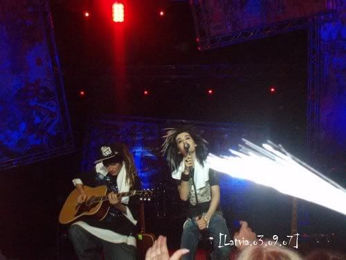 f_P9030136m_cc32c31.jpg picture by Ewellyn9