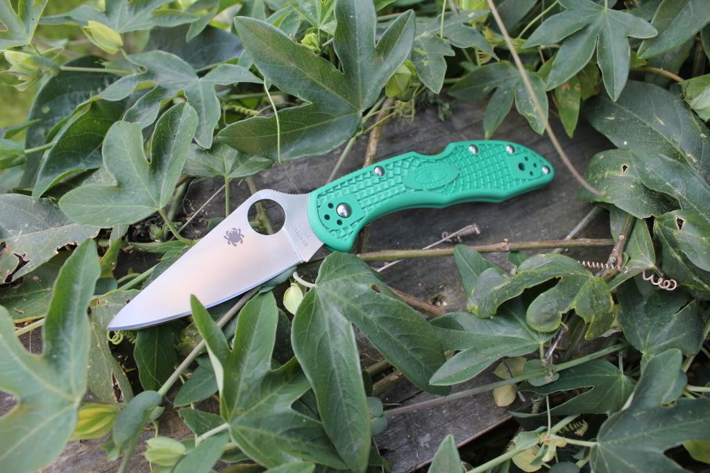 What is your EDC blade at the moment?