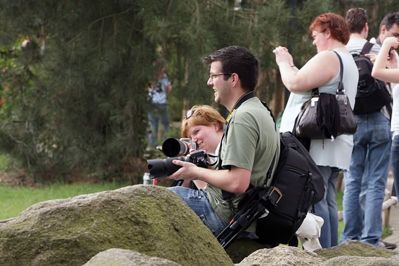 Fotografie