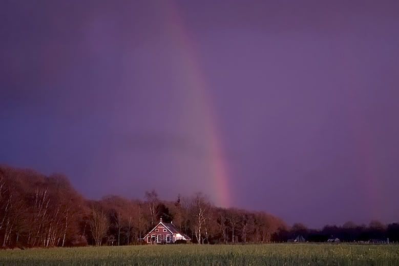 Fotografie
