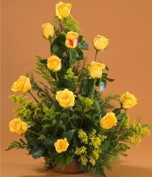 flores10.jpg Flores-Botonamrelo image by adnavsneto