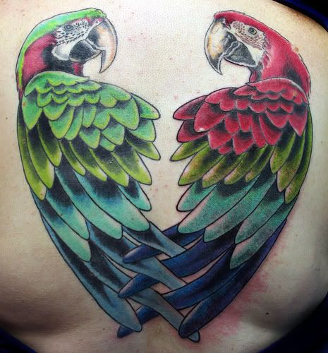 parrot tattoo. Parrot Tattoos