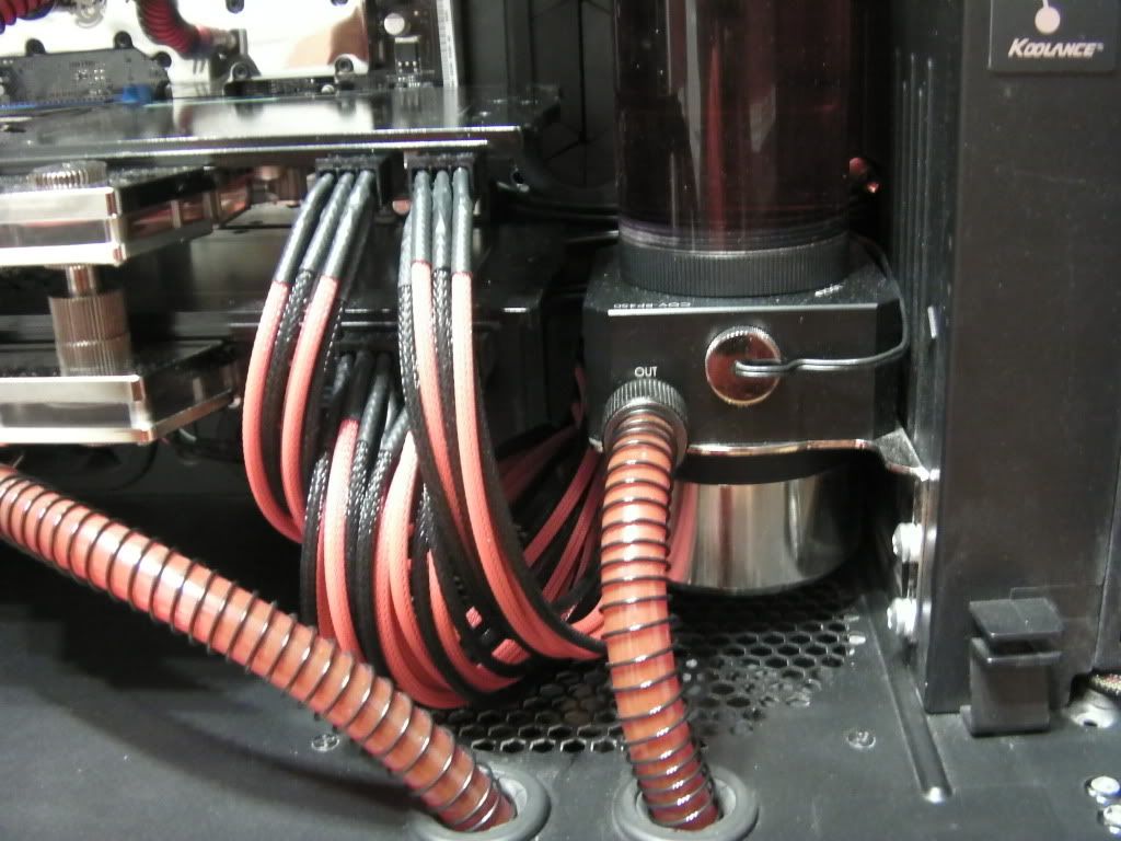 SANY0077.jpg