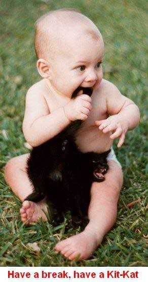 babyeatingcat.jpg