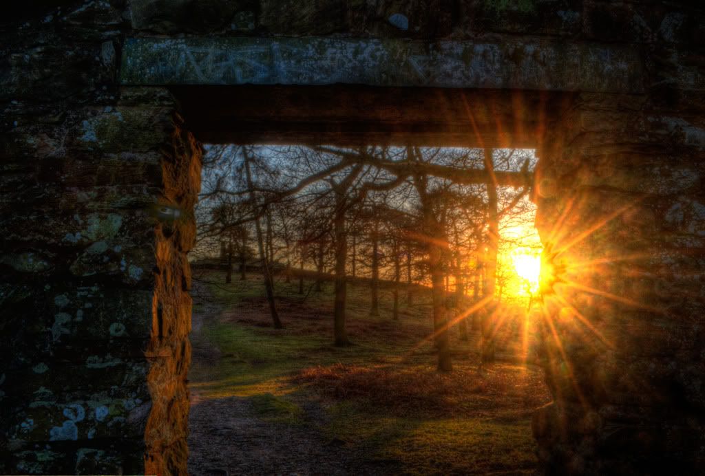 2011-02-08DSC_0086_4_5_tonemapped-Edit.jpg
