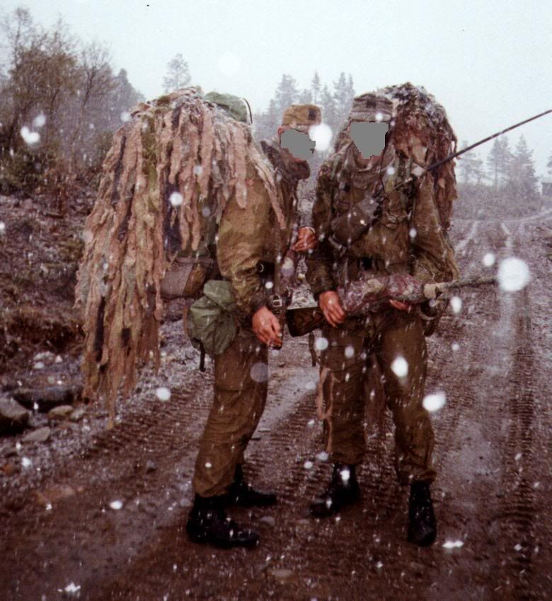 norwegian army looks