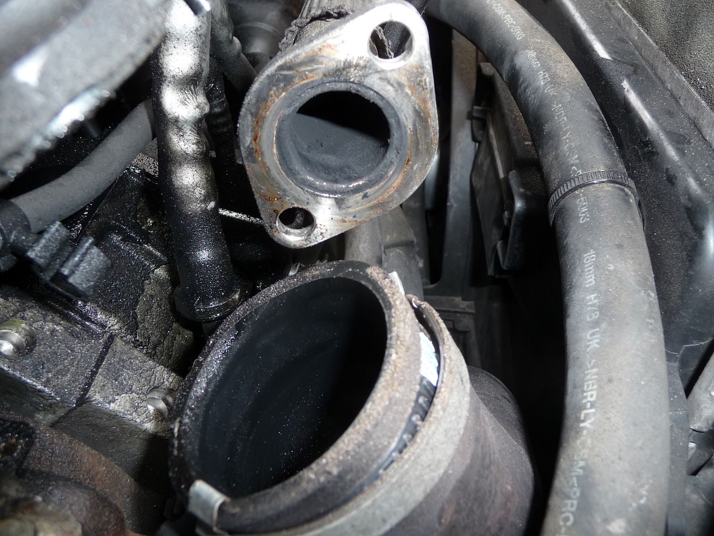 Glow Plug Light and Engine Light Ford ST/RS Forum