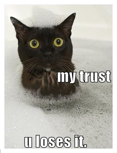 funny-pictures-cat-bubble-bath-t-1.jpg
