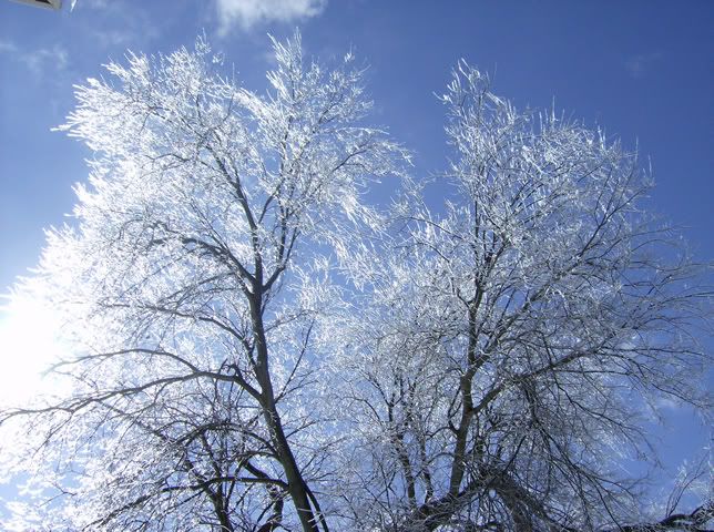 Next morning, the sun hits the ice and we get a lightshow, it was lovely!