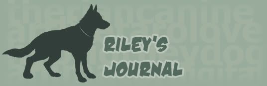 2.0 Journal Banner