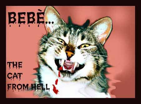 bebe the cat from hell