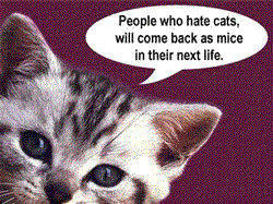 people who hate cats will come back as mice in their next life