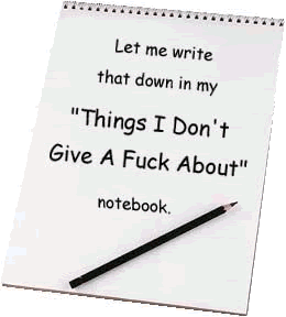let me write that down in my things i don't give a fuck about notebook