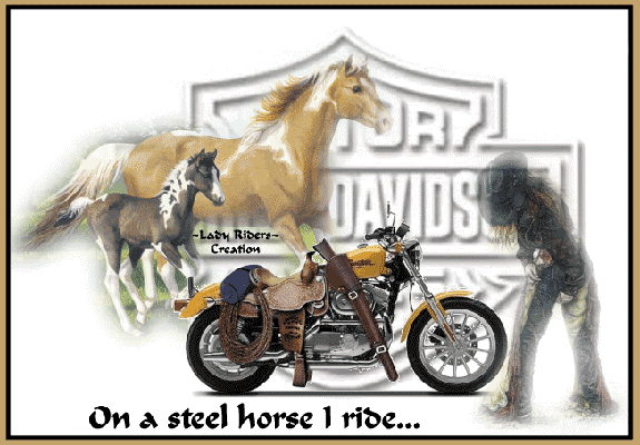 harely davidson on a steel horse i ride