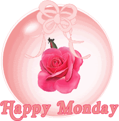 happy monday pink rose