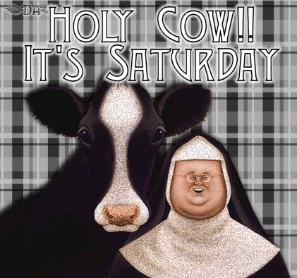 holy cow it's saturday - nun