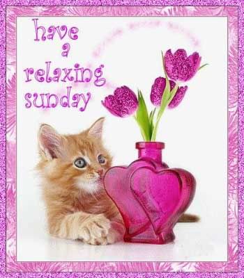 have a relaxing sunday kitten flowers