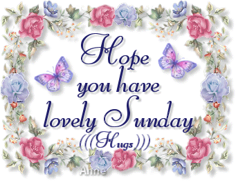 hope you have a lovely sunday hugs butterflies flowers