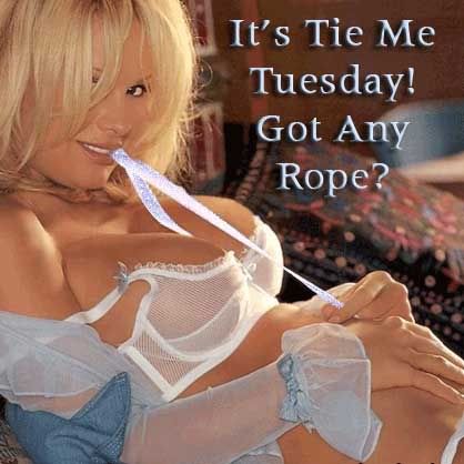 It's tie me up tuesday got any rope?