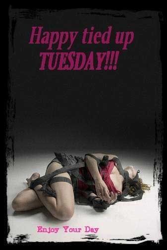 Happy tied up Tuesday