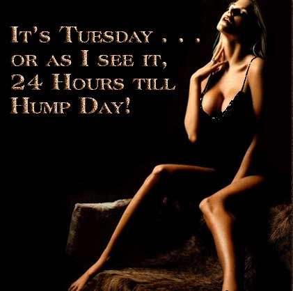 tuesday 24 hours till hump day