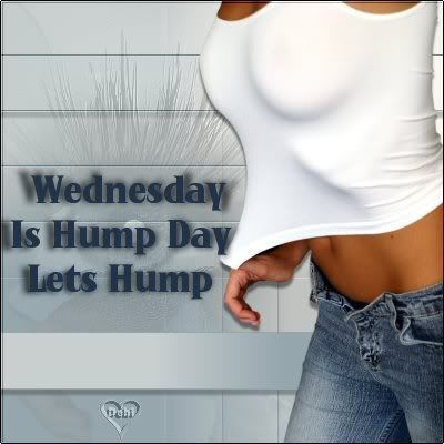 wednesday is hump day lets hump
