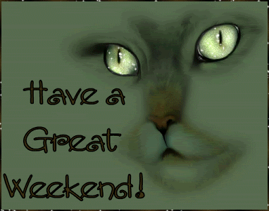 have a great weekend cat