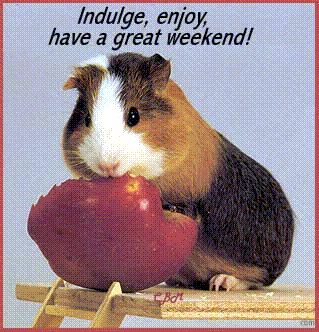 indulge enjoy have a great weekend guinea pig