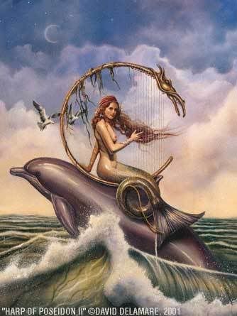 mermaid rides dolphin