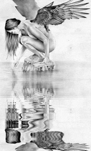 sexy angel with bird water reflection