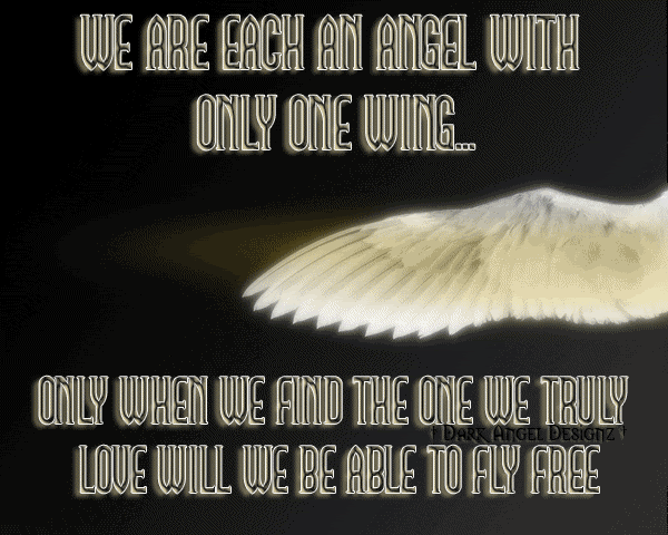 we are each an angel with only one wing
