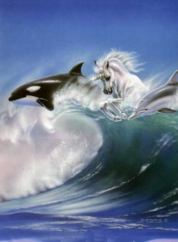 unicorn and dolphins