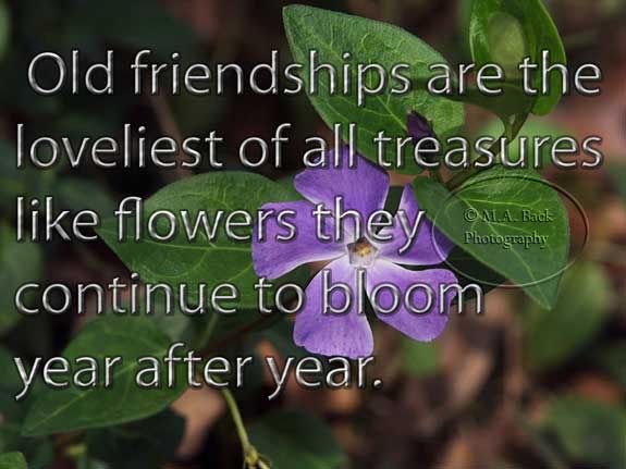 old friendships are the lovelist of all treasures like flowers they continue to bloom year after yea