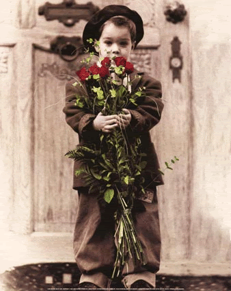 boy with roses