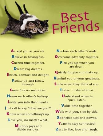 friendship quotes Pictures, Images and Photos