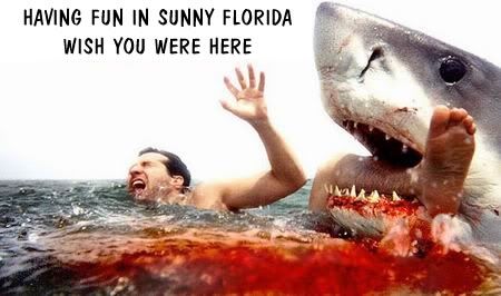 shark eats man - fun in sunny florida