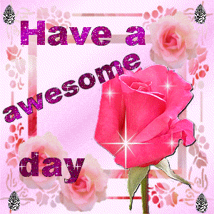 have a awesome day pink rose