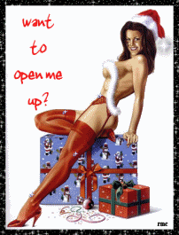 want to open me up? sexy christmas